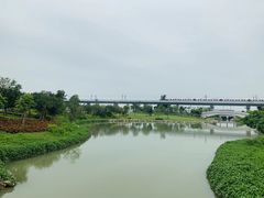 -宝安西湾红树林湿地公园