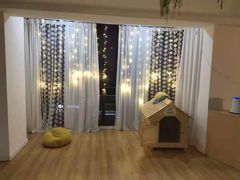 -Husky Go! 哈士奇体验馆·宠物咖啡厅狗咖