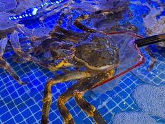 -驻海渔市(置信店)