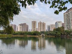 -四海公园(南山区)
