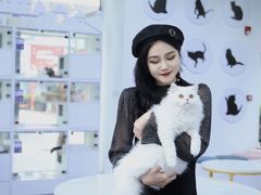 -小猫来了·猫舍(红山六九七九店)