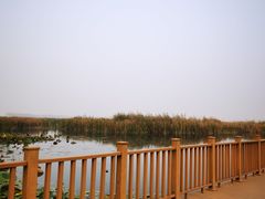 -白洋淀景区