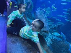 -多彩贵州城极地海洋世界