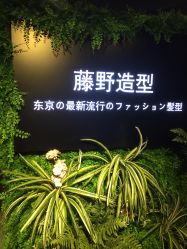 点击看大图 -藤野造型