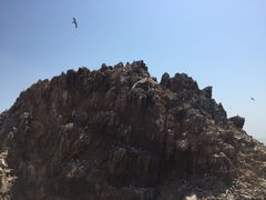 -海驴岛(荣成市)