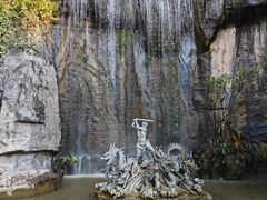 -西双版纳原始森林公园