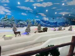 -世界之窗阿尔卑斯冰雪世界