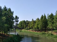-尚贤河湿地