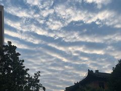 -南京钟山宾馆(江苏省会议中心)