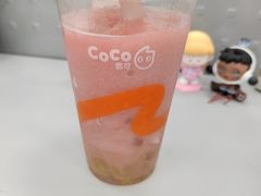 -CoCo都可(北新桥店)