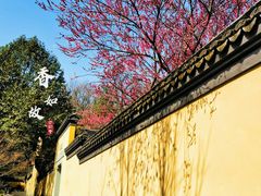 -慧因高丽寺