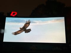 -枫花园汽车电影院(朝阳公园店)