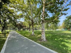 -咸阳湖景区-古渡公园