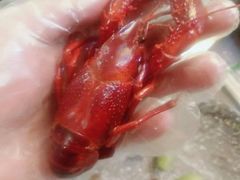 -臻馆小龙虾