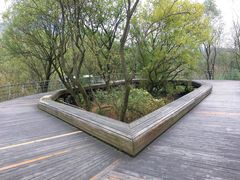 -西湖风景区-江洋畈生态公园
