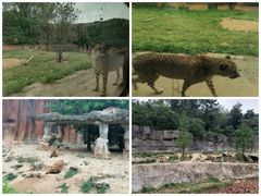 -杭州野生动物世界