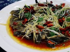 -古道惠风饭庄