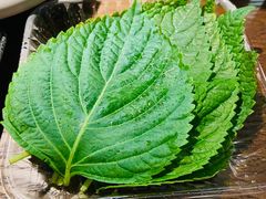 -新石器烤肉(中房金谊广场店)