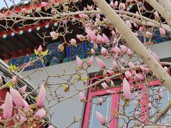 -天津大悲禅院
