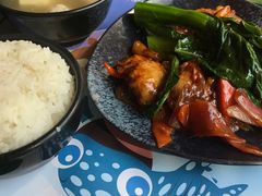 -雨林餐厅(长隆海洋王国店)