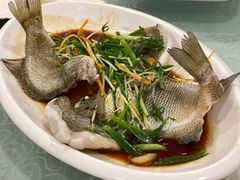 清蒸太阳鱼-大唐靓汤江门私房菜(景田店)