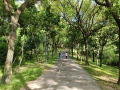 -燕晗山郊野公园