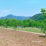 可乐哇休闲农场[加油]你跟孩子的快乐乐园