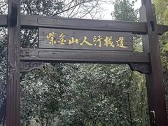 -紫金山山顶公园