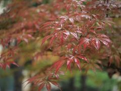 -陕西师范大学(雁塔校区)