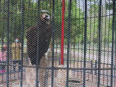 -长白岛森林公园