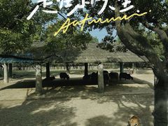 -上海野生动物园