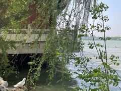 -天津水上公园