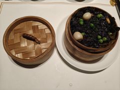 -觀芷隐轩