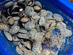 -驻海渔市(置信店)