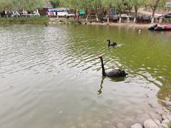 -静之湖度假区