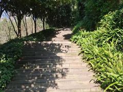 -龙头寺公园