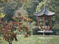 -云溪植物园