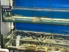 九节虾-浔埔人海鲜楼