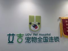 -艾吉宠物医院·疑难杂症转诊中心·猫友好(碧江路院)