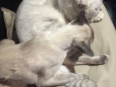 -MIKAKU(万达广场上海宝山店)