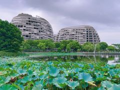 -海天湖公园
