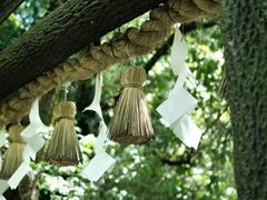 -野宫神社