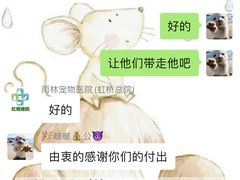 -雨林宠物医院 非犬猫异宠专科