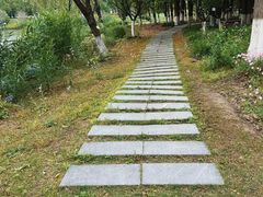 -九科绿洲