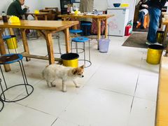 大堂-姐妹面馆(水澄路店)