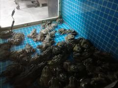-石锅苗苗鱼(武汉首店)