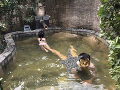-西安国际创新人才交流中心•药浴温泉