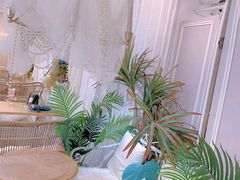 -共舞时光猫咖·狗咖(新街口店)