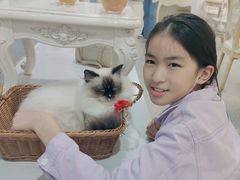 -共舞时光猫咖·狗咖(新街口店)