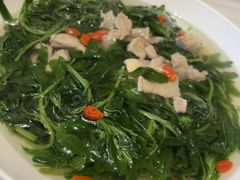 苹果猪上汤浸枸杞苗-炳胜品味(海印总店)